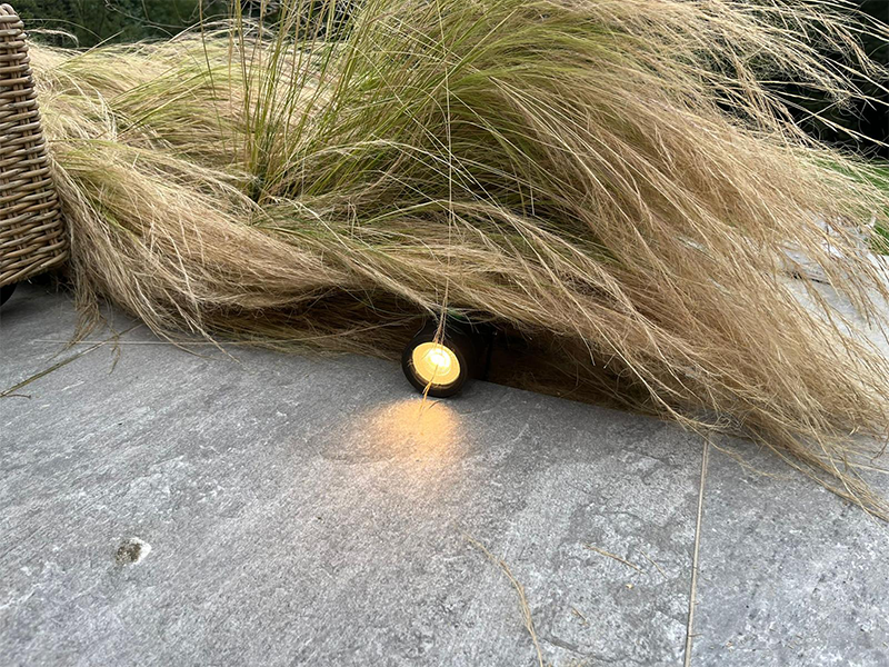 grass with under lighting