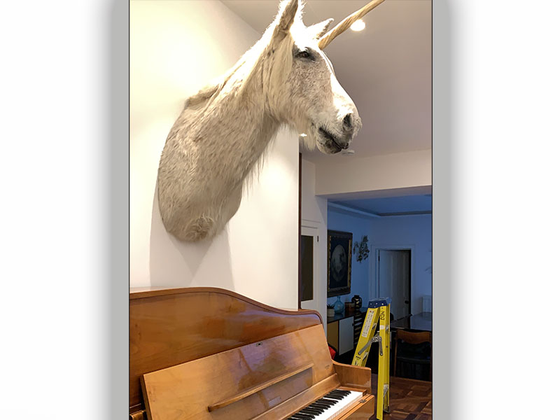 unicorn music room