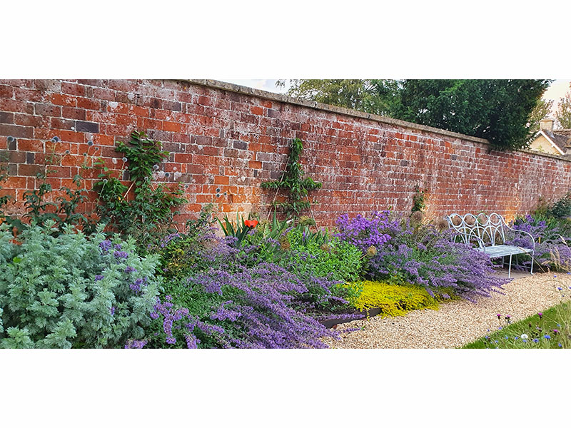 garden & pathway